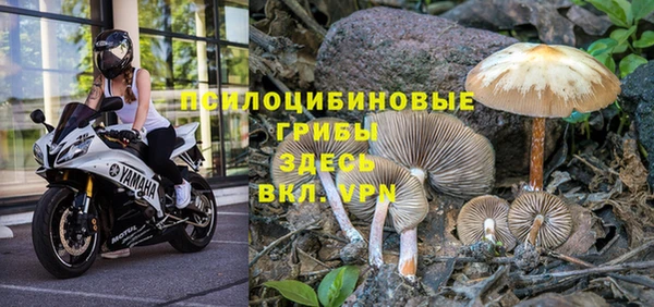 дживик Алексеевка