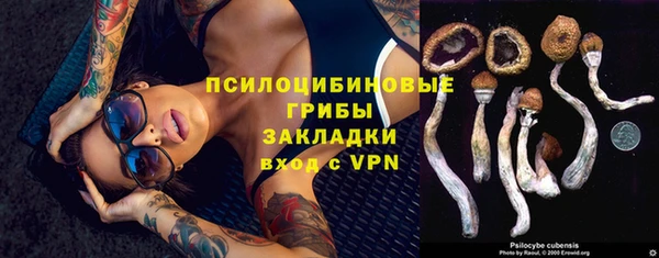 тгк Алексин