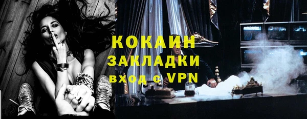 тгк Алексин