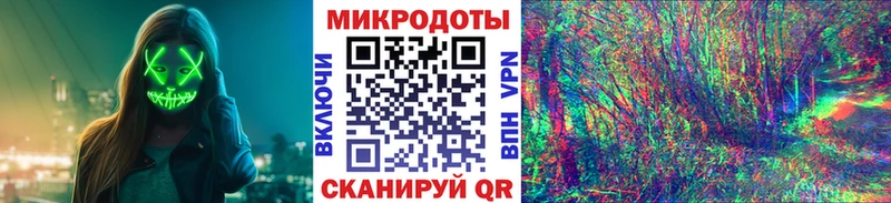 купить наркотики цена  Гаврилов Посад  Псилоцибиновые грибы Psilocybine cubensis 